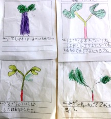 1年生 半田市立横川小学校